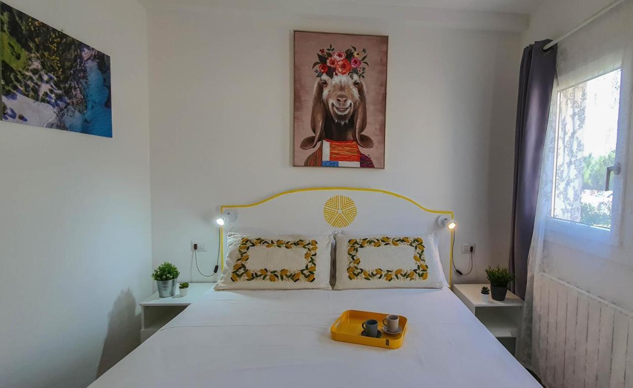 אולביה B&B Biddanoa מראה חיצוני תמונה